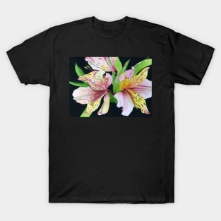 Pink and Yellow Alstroemeria Lilies watercolor painting T-Shirt